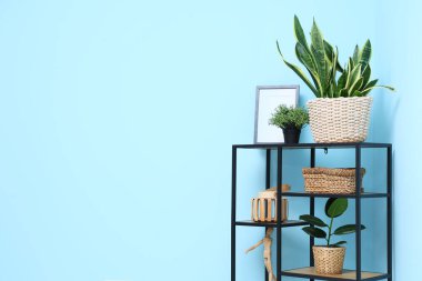 Raf ünitesi ve mavi duvarın yanındaki oda.