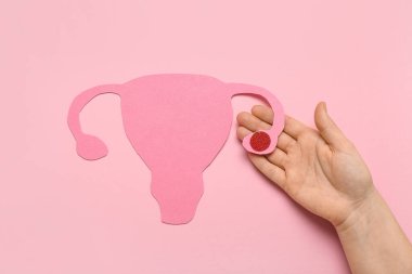 Pembe arka planda kağıt uterusu olan bir kadın eli.