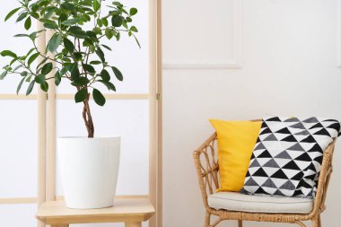 Beyaz duvarın yanında katlanır ekran, sandalye ve çiçek bulunan odanın içi