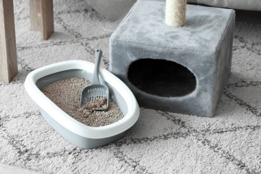 Oturma odasındaki halıda tırmalama tahtası olan kedi için çöp kutusu.