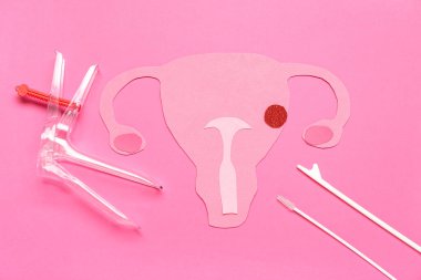 Jinekolojik spekulumlu kağıt rahim ve pembe arka planda pap smear test araçları