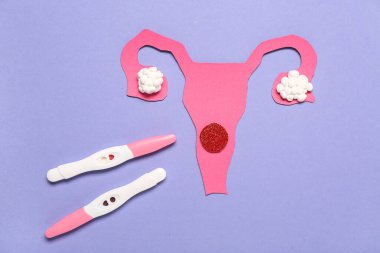 Mor arka planda kağıt rahim ve hamilelik testleri