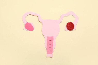 Bej arkaplanda kağıt uterus