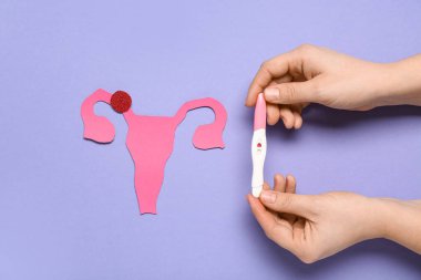 Kağıt uterusa sahip kadın elleri ve mor arka planda hamilelik testi