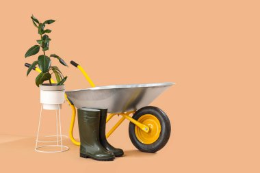 Bitki, lastik bot ve bej arka planda el arabası.
