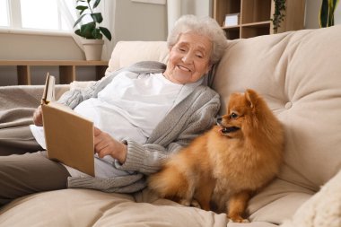 Pomeranya köpeği olan yaşlı kadın evdeki kanepede kitap okuyor.
