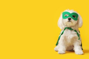 Sarı arka planda süper kahraman kostümlü şirin bir köpek.