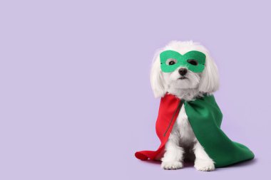 Eflatun arka planda süper kahraman kostümlü şirin bir köpek.