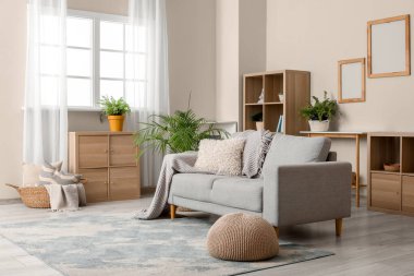 Modern oturma odasında yastıklı ve ekoseli kanepe.