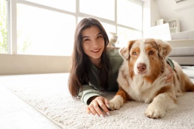 Avustralya çoban köpeği olan genç bir kadın evde halıda yatıyor.