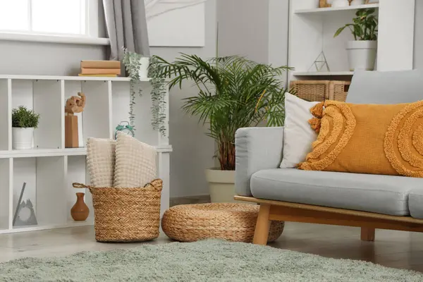 Gri kanepesi, raf ünitesi ve bitkileri olan oturma odasının içinde.