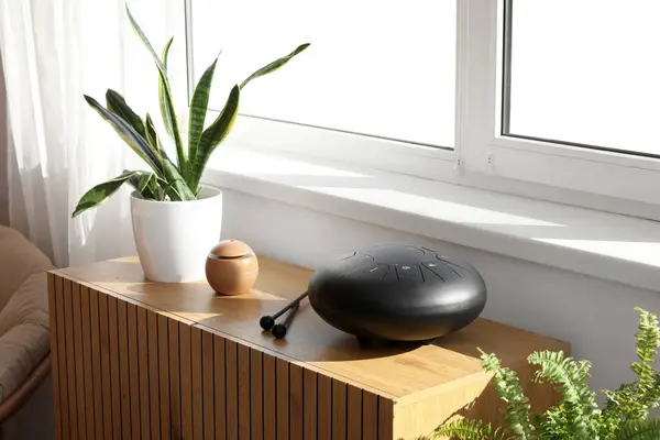 Stock image Glucophone with plant on commode near window in living room