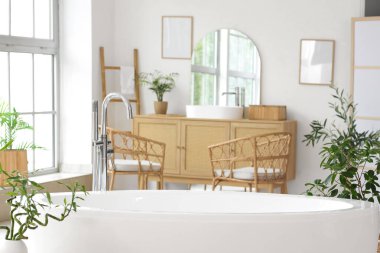 Küvet, çekmeceler ve modern banyonun içindeki bitkiler.