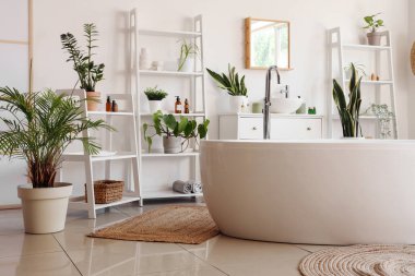 Rafların, küvetin ve ev bitkilerinin olduğu hafif banyonun içi.