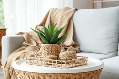 Masa, hasır tepsi. Oturma odasının içinde kutular ve bitkiler var.