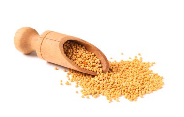 Beyaz arka planda hardal tohumlu ahşap kepçe.