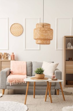 Gri kanepesi ve ekoseli modern şık oturma odası.