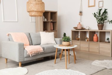 Gri kanepesi ve ekoseli modern şık oturma odası.