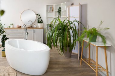 Banyonun içinde seramik küvet, katlama ekran ve bitkiler var.