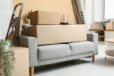 Oturma odasında kutuları taşıyan kanepe.