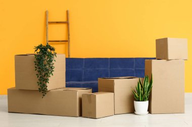 Taşındığı gün oturma odasında çiçek ve kanepe dolu karton kutular.