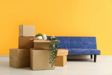 Taşındığı gün sarı duvarın yanında çiçek ve kanepe olan karton kutular.