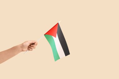 Bej arka planda Filistin bayrağı taşıyan bir kadın el.