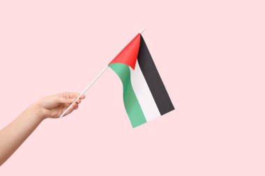 Pembe arka planda Filistin bayrağı taşıyan bir kadın el.