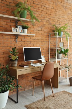 Modern işyeri, raflar ve yeşil ev bitkileriyle birlikte ofis içi