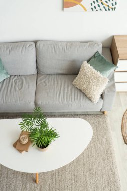 Modern interior of living room with grey sofa and houseplant on table