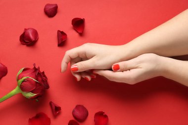 Kırmızı manikürlü, gül ve çiçek yapraklı kadın elleri. Sevgililer Günü kutlaması