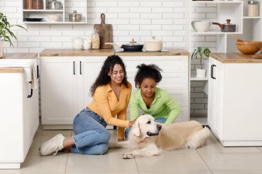 Güzel, genç, mutlu, Afro-Amerikan bir anne, kızı ve tatlı Labrador köpeği evde, mutfakta.