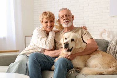 Evde koltukta oturan Labrador köpeği olan olgun bir çift.