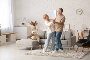 Evde Labrador köpeği dansı yapan olgun bir çift.