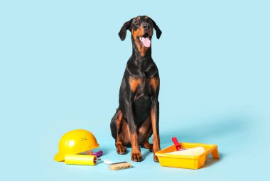 Mavi arka planda boya aletleri olan sevimli Dobermann köpeği.