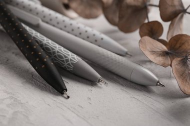 Gri grunge arka planda güzel okaliptüs dalı ve kalemler, yakın plan