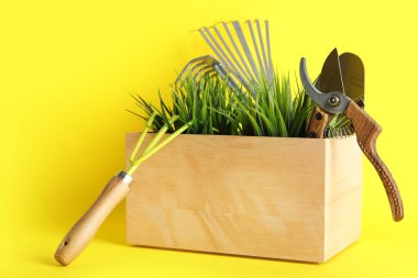 Bahçe aletleri ve sarı arka planda ev bitkileriyle dolu sandık.