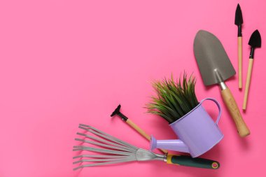 Bahçe aletleri ve bitki sulandırma kutusu pembe arka planda