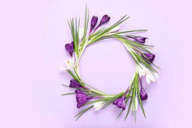 Leylak arkaplanındaki güzel krokus çiçeklerinden yapılmış çerçeve