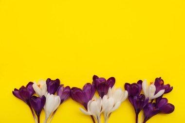 Sarı arka planda güzel kır çiçekleri