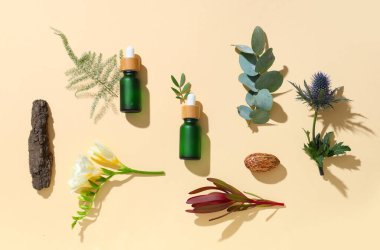 Gerekli yağ şişeleri ve renk arkaplan üzerinde farklı bitkiler bileşimi