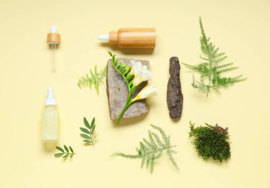 Gerekli yağ şişeleri ve renk arkaplan üzerinde farklı bitkiler bileşimi