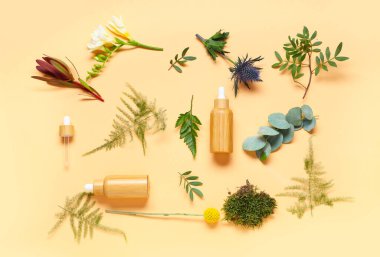 Gerekli yağ şişeleri ve renk arkaplan üzerinde farklı bitkiler bileşimi