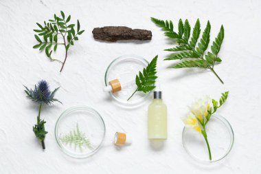 Temel yağ şişesi, petri kapları ve hafif arka planda bitkilerle kompozisyon