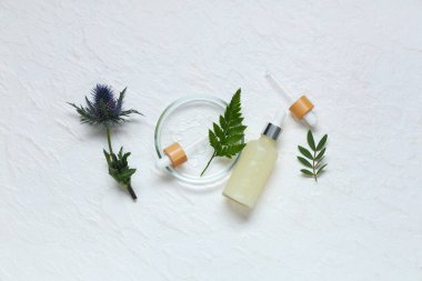 Temel yağ şişesi, petri kabı ve hafif arka planda bitkilerle bileşim