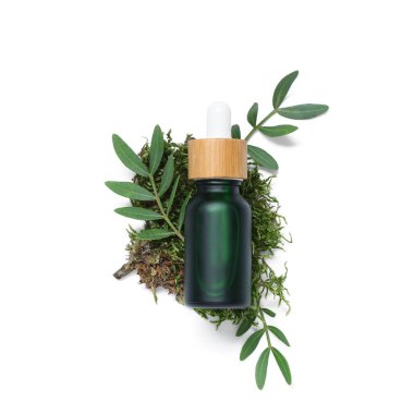 Beyaz arka planda gerekli yağ, yosun ve bitki yapraklarından oluşan bir kompozisyon