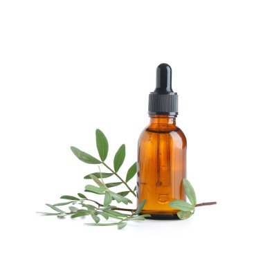 Beyaz arka planda bir şişe gerekli yağ ve bitki dalı