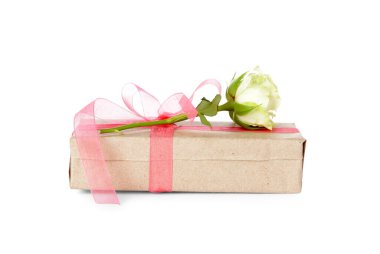 Pembe fiyonklu hediye kutusu ve beyaz arka planda güzel bir gül. Uluslararası Kadınlar Günü