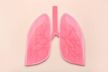 Bej arka planda pembe kağıt ciğerler