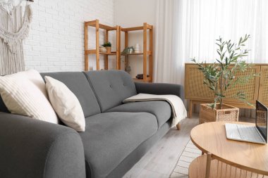 Oturma odasının içinde siyah kanepe, çekmeceler, sehpa ve zeytin ağacı var.